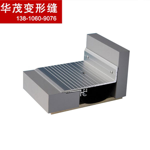 成品不銹鋼伸縮縫廠家批發定制成品樓地面伸縮縫